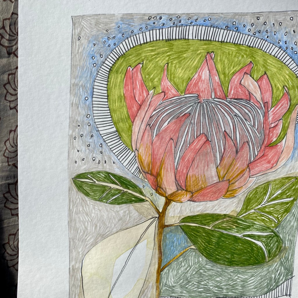 ace of wands 5/5 king&nbsp;protea